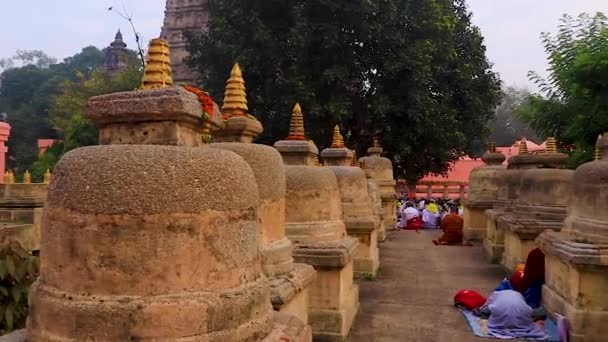 Monges Oferecendo Seus Pryers Manhã Deus Omnipotente Temple Tradicional Antigo — Vídeo de Stock