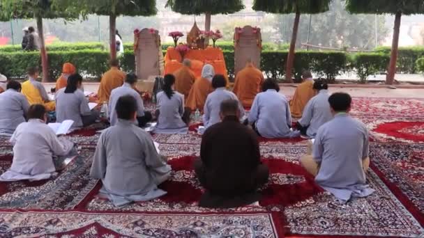 Sabah Rahipleri Sabah Tapınaklarında Mahabodhi Tapınağında Şubat 2020 Hindistan Çekilmiş — Stok video