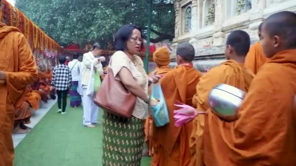 Keşiş Çocuk Mahabodhi Tapınağında Şubat 2020 Çekilmiş Pryers Videosu Için — Stok video