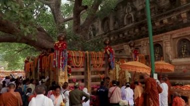 Keşişler kutsal bodhi ağacında 11 Şubat 2020 'de Bangladeş manastırındaki Bodh gaya bihar İndia' da çekilmiş düz açı videosundan dua ediyorlar..