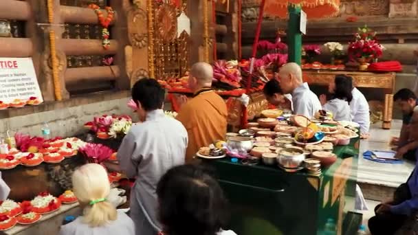 Mönche Viele Beten Heiligen Bodhi Baum Aus Flachem Winkel Video — Stockvideo