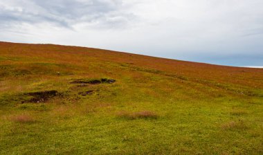Sabah düz gökyüzü olan kırsal portakal çimi dağı