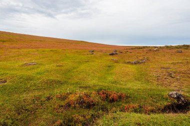 Sabah düz gökyüzü olan kırsal portakal çimi dağı