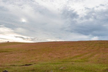 Sabah düz gökyüzü olan kırsal portakal çimi dağı