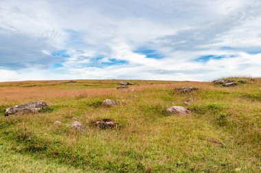 Kırsal sarı çimen dağı, bir sürü kaya ve parlak bulutlu gökyüzü sabah