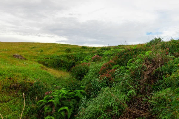 Зеленая Травянистая Гора Плоским Небом Утром — стоковое фото