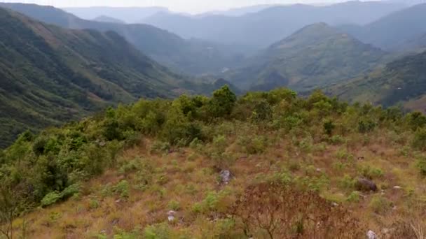 晨光从平坦的山坡上覆盖着绿林和薄雾的山谷 — 图库视频影像