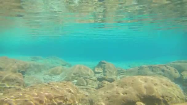 Jongeman Zwemmen Blauw Helder Onder Water Van Waterval Met Veel — Stockvideo