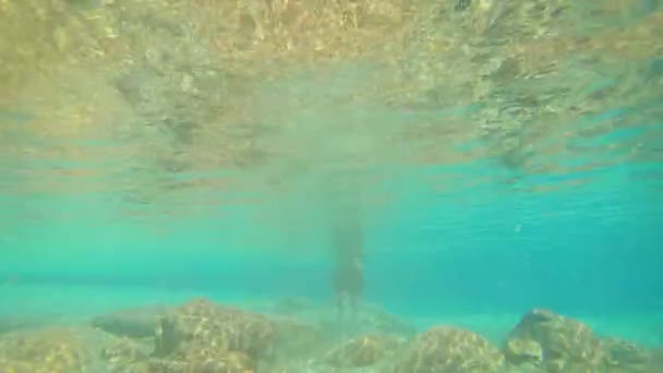 年轻人穿着蓝色的衣服在瀑布的水底游来游去 许多岩石都是扁平的 — 图库视频影像