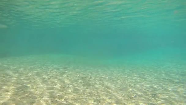 Junger Mann Fuß Natürlichen Wasserfall Blau Klares Wasser Unterwasser Erschossen — Stockvideo