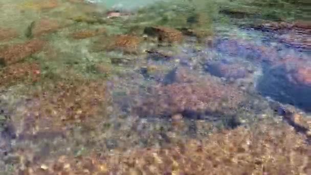 Молодой Человек Плавает Голубой Прозрачной Водой Водопада Многими Скалами Плоского — стоковое видео