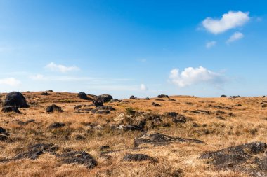 düz açı görüntüsü ile parlak mavi gökyüzü ile kayalık sarı çimen dağı nongnah meghalaya Hindistan 'da çekilmiştir..