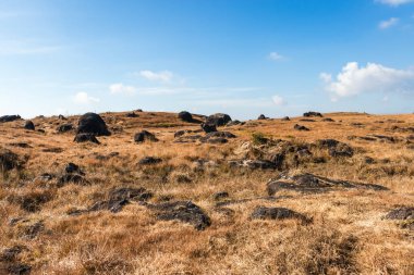 düz açı görüntüsü ile parlak mavi gökyüzü ile kayalık sarı çimen dağı nongnah meghalaya Hindistan 'da çekilmiştir..