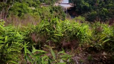 Doğal şelalesi olan sık yeşil ormanlar sabah ilk açıyla dağları oluşturur.