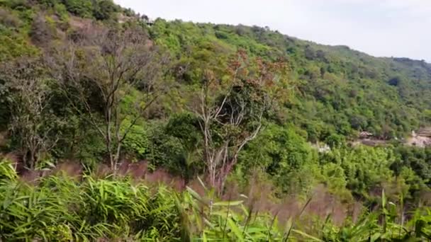 茂密的绿林 有天然瀑布 早上从山顶从山上落下来 — 图库视频影像