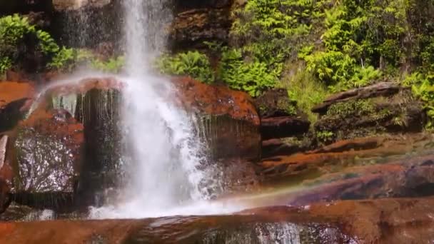 Érintetlen Természetes Vízesés Esik Sziklákról Erdők Nappal Különböző Szögből Videó — Stock videók