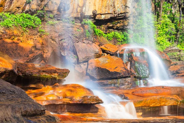 Şelalenin beyaz akarsuları dağın tepesinden sabah sarı kayalıklarda alçak açıyla düşüyor.