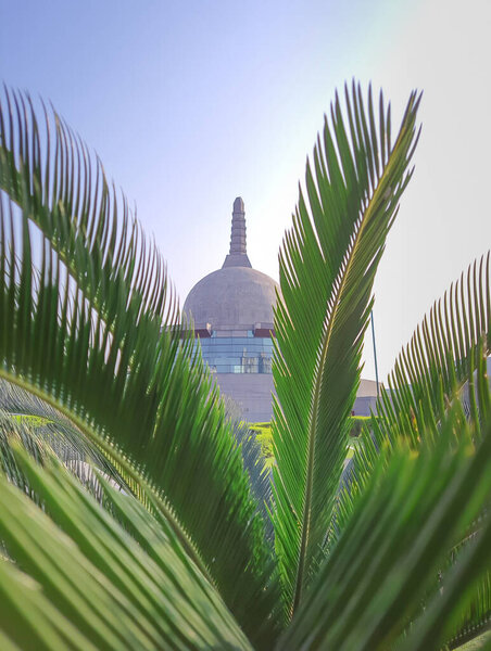 buddha stupa through leafs with bright sky at morning from low angle image is taken at buddha park patna bihar india on Apr 15 2022.