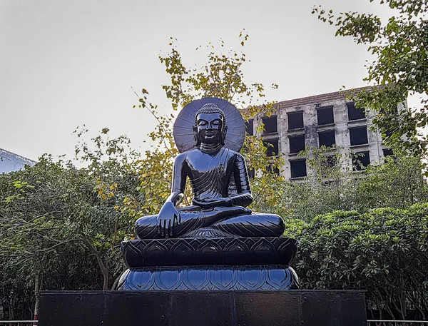 Izolovaný Buddha Černá Socha Meditační Držení Parku Plochého Úhlu Obrazu — Stock fotografie