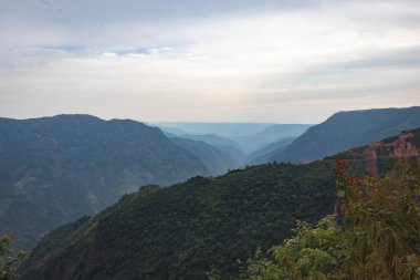 Dağ vadisi bembeyaz sislerle ve sislerle kaplıydı.