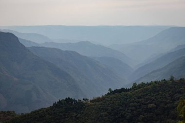 Dağ vadisi bembeyaz sislerle ve sislerle kaplıydı.