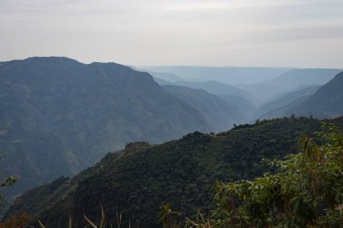 Dağ vadisi bembeyaz sislerle ve sislerle kaplıydı.