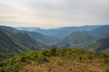 Dağ vadisi orman ve beyaz sislerle kaplıydı.
