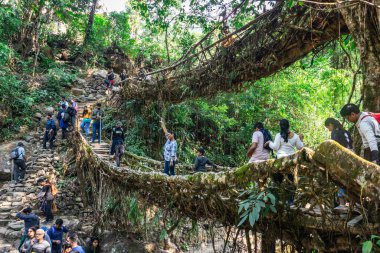 Çifte güverte kök köprüsü sabah turistlerle doludur. Eşsiz açılı görüntüler çift katlı köprüdeki Cherrapunji Meghalaya Hindistan 'da çekilmiştir..