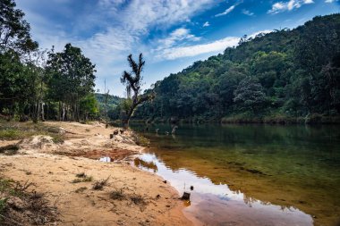 Nehir kıyısı yoğun yeşil ormanlarla çevrili ve mavi gökyüzü ile sabah su reflasyonu var.