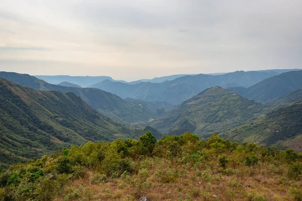 Dağ vadisi orman ve beyaz sislerle kaplıydı.