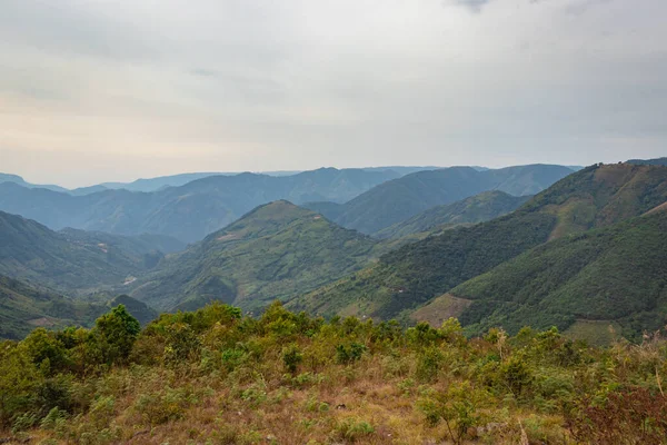 Dağ vadisi orman ve beyaz sislerle kaplıydı.