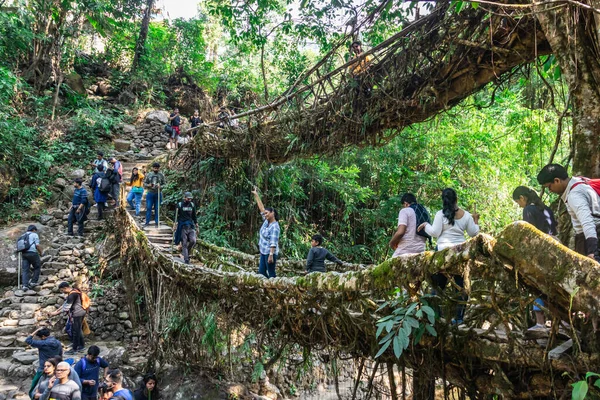 Çifte güverte kök köprüsü sabah turistlerle doludur. Eşsiz açılı görüntüler çift katlı köprüdeki Cherrapunji Meghalaya Hindistan 'da çekilmiştir..