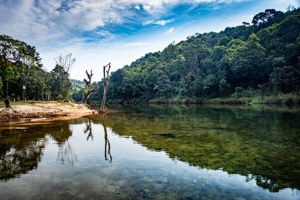 calm river surrounded by dense green forests and blue sky with water refection at morning