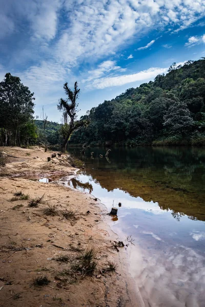 Margem Rio Cercada Por Densas Florestas Verdes Céu Azul Com — Fotografia de Stock