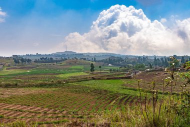 countryside agriculture farming fields with bright blue sky at morning from flat angle