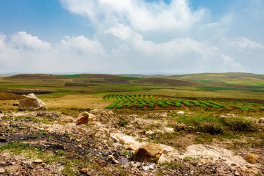 Düz açılı, parlak mavi gökyüzü ile dağlık tarım tarlaları