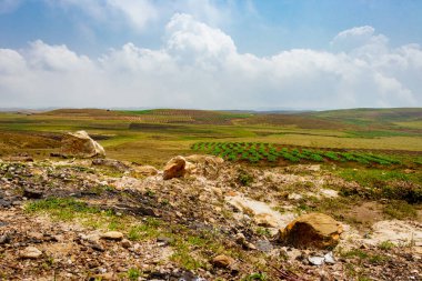 Düz açılı, parlak mavi gökyüzü ile dağlık tarım tarlaları