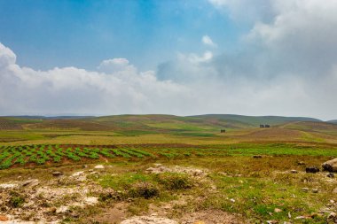 Düz açılı, parlak mavi gökyüzü ile dağlık tarım tarlaları