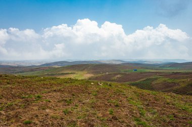 Düz açılı, parlak mavi gökyüzü ile dağlık tarım tarlaları