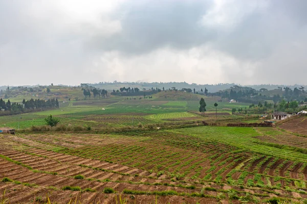 Kırsal tarım tarlaları sabah düz açıyla parlak mavi gökyüzü ile