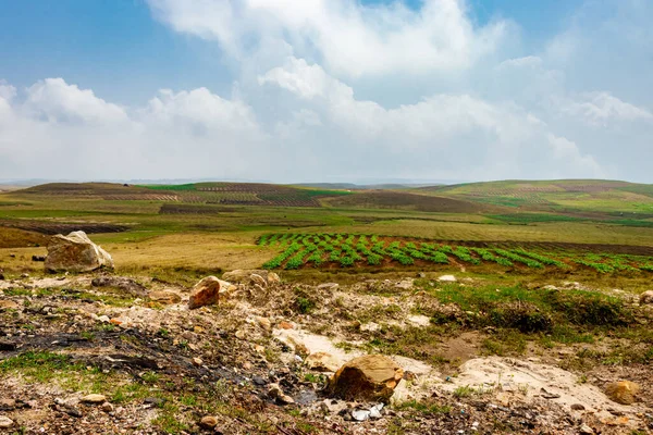 Düz açılı, parlak mavi gökyüzü ile dağlık tarım tarlaları