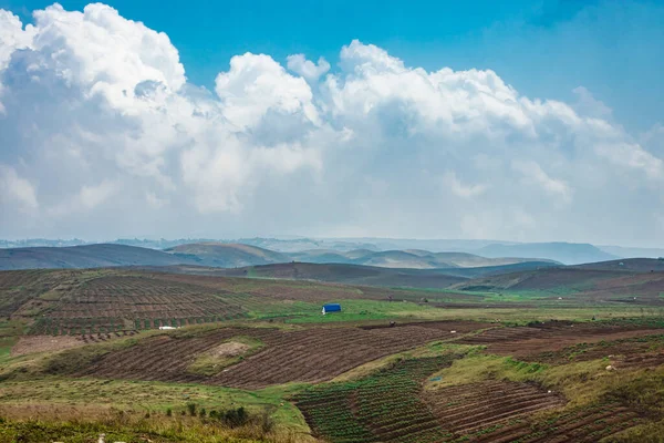 Düz açılı, parlak mavi gökyüzü ile dağlık tarım tarlaları