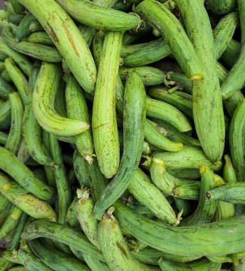 Yeni sünger koruyucuları. Çoğu üst açıdan yaklaşır.