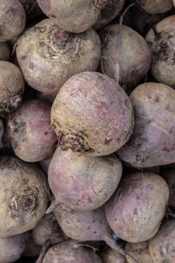 fresh organic beetroot from farm close up from different angle