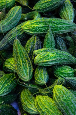 Farklı açılardan yaklaşan taze organik koruma.