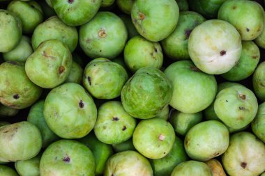 Çiftlikten taze organik yeşil sebzeler. Farklı açılardan yaklaşıyorlar.