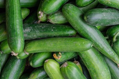 Taze yeşil salatalık. Birçoğu en üstten yaklaşıyor.