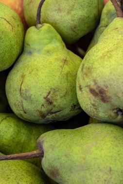 Farklı açılardan taze organik armut.