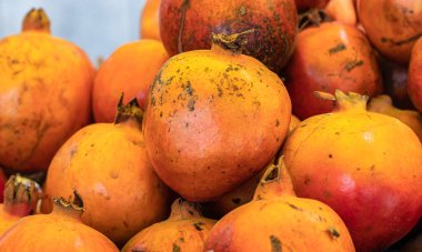 Çiftlikten taze organik nar farklı açılardan yaklaşır.