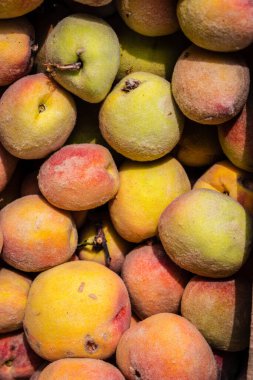 Farklı açılardan taze organik şeftali.